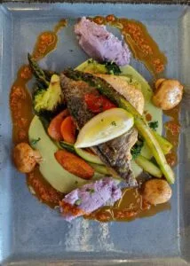 Plat du jour avec Filet de Turbot et ses duos de légumes vitelotte et légumes verts